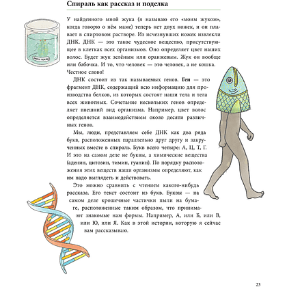 Книга "Сэм и эволюция: Краткая история эволюционной биологии", Андреа Грилль, иллюстрации Раффаэла Шёбиц - 8