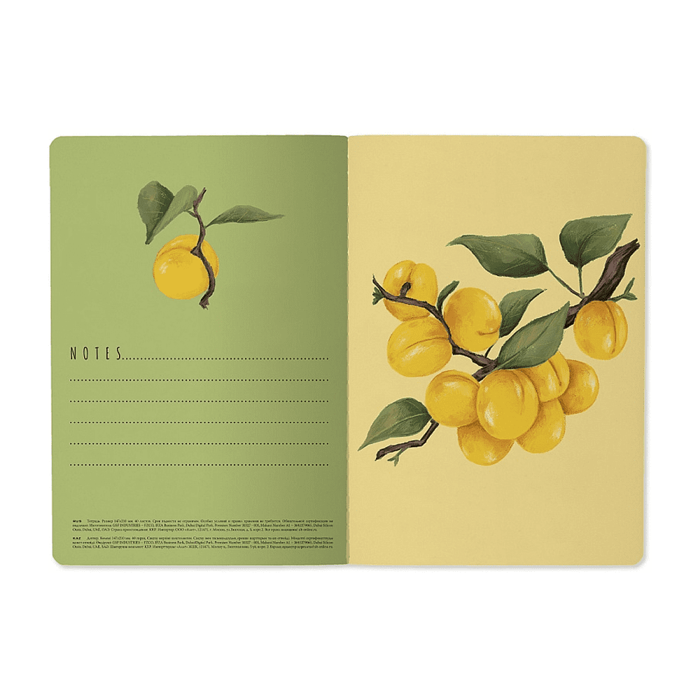 Тетрадь "Flora. Paradise. Абрикосы", A5, 40 листов, клетка, белый, желтый - 5