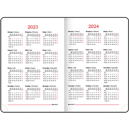 Ежедневник датированный "Legend", А5, 336 страниц, фиолетовый, 2023 - 8