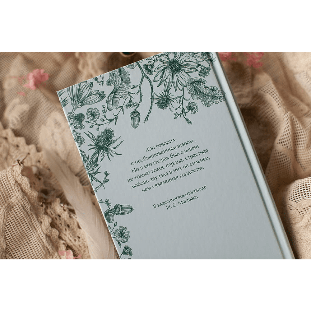 Книга "Кружевная классика. Гордость и предубеждение", Джейн Остен - 4