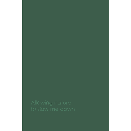 Ежедневник недатированный "Every Day. Nature", A5, 176 листов, зеленый - 3