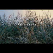 Скетчбук "Волнение", Валерий Шкарубо, 21x14.8 см, 80 листов, нелинованный, черный пейзаж