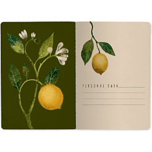 Тетрадь  "Flora. Paradise. Lemons", A5, 40 листов, линейка, белый, желтый