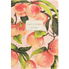 Тетрадь "Flora. Paradise. Персики", A5, 40 листов, клетка, розовый - 2