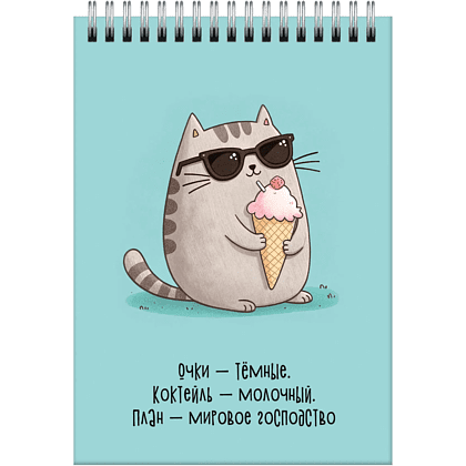 Блокнот "Мурчаши.2", A6, 60 листов, клетка, голубой