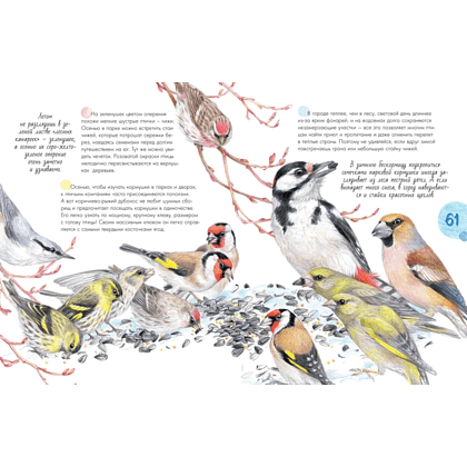 Книга "Птицы в городе. 25 историй в фактах и рисунках", Наталья Габеева - 6