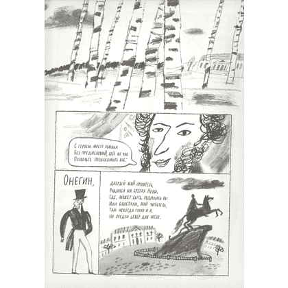 Книга "Евгений Онегин. Графический путеводитель", Алексей Олейников - 5