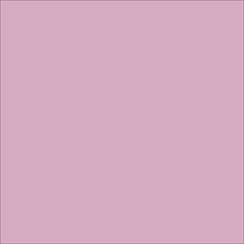 Краски декоративные "INDOOR & OUTDOOR", 50 мл, 3505 серовато-розовый