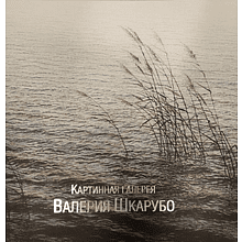 Альбом "Картинная галерея Валерия Шкарубо"
