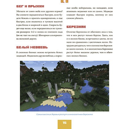 Книга "Minecraft от А до Я. Неофициальная иллюстрированная энциклопедия", Меган Миллер - 10