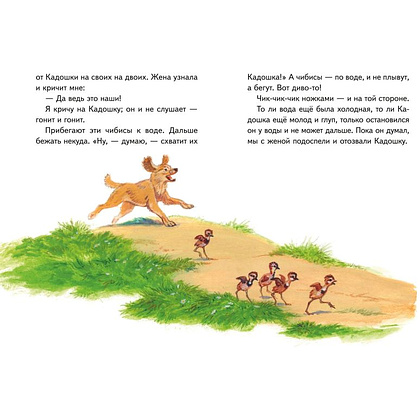 Книга "Книги для внеклассного чтения. Рассказы о природе (ил. С. Ярового)", Михаил Пришвин - 3