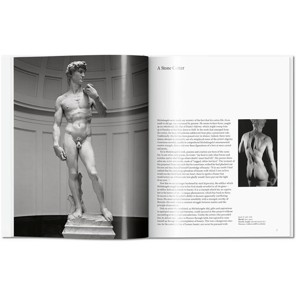 Книга "Basic Art, Michelangelo", (Английский язык) - 5