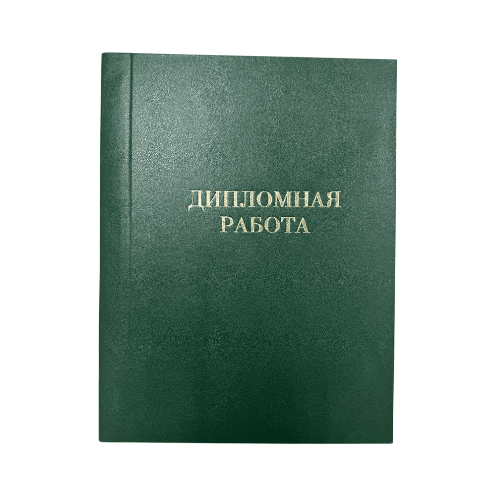 Папка для диплома "Дипломный проект", А4, 3 отверстия со шнурком, ассорти - 3