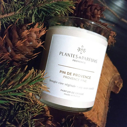 Свеча ароматическая PLANTS&PARFUMS "Provence Pine" ,180 гр.  - 3