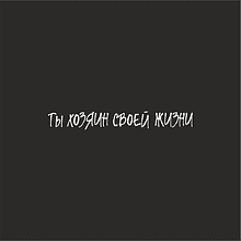 Ручка шариковая "Ты хозяин своей жизни", черный, стерж. синий