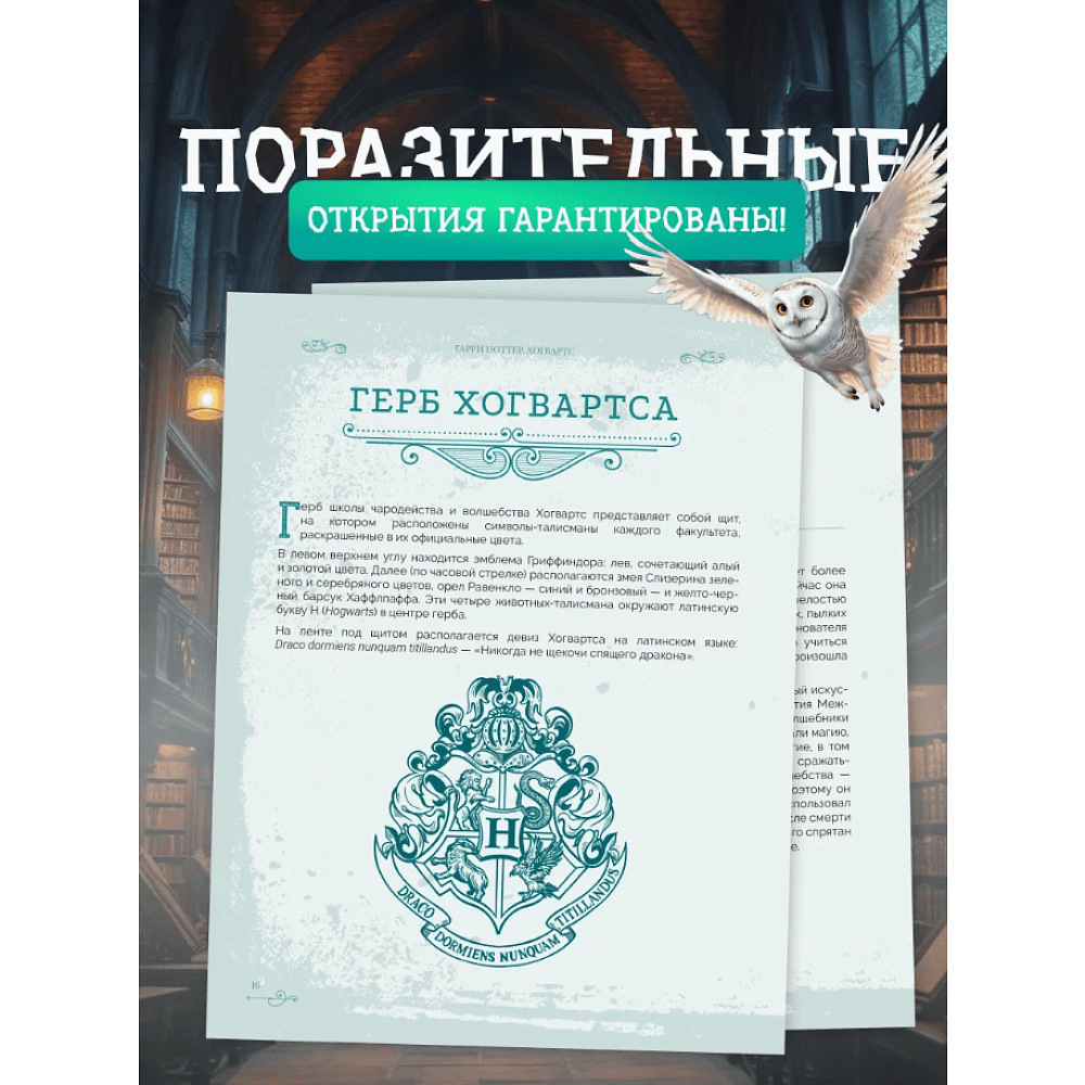 Книга "Библиотека Магии. Гарри Поттер. Хогвартс" - 8