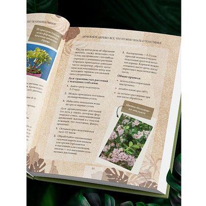 Книга "Зеленая комната. Как стать повелителем домашних джунглей", Илья Зеленов - 10