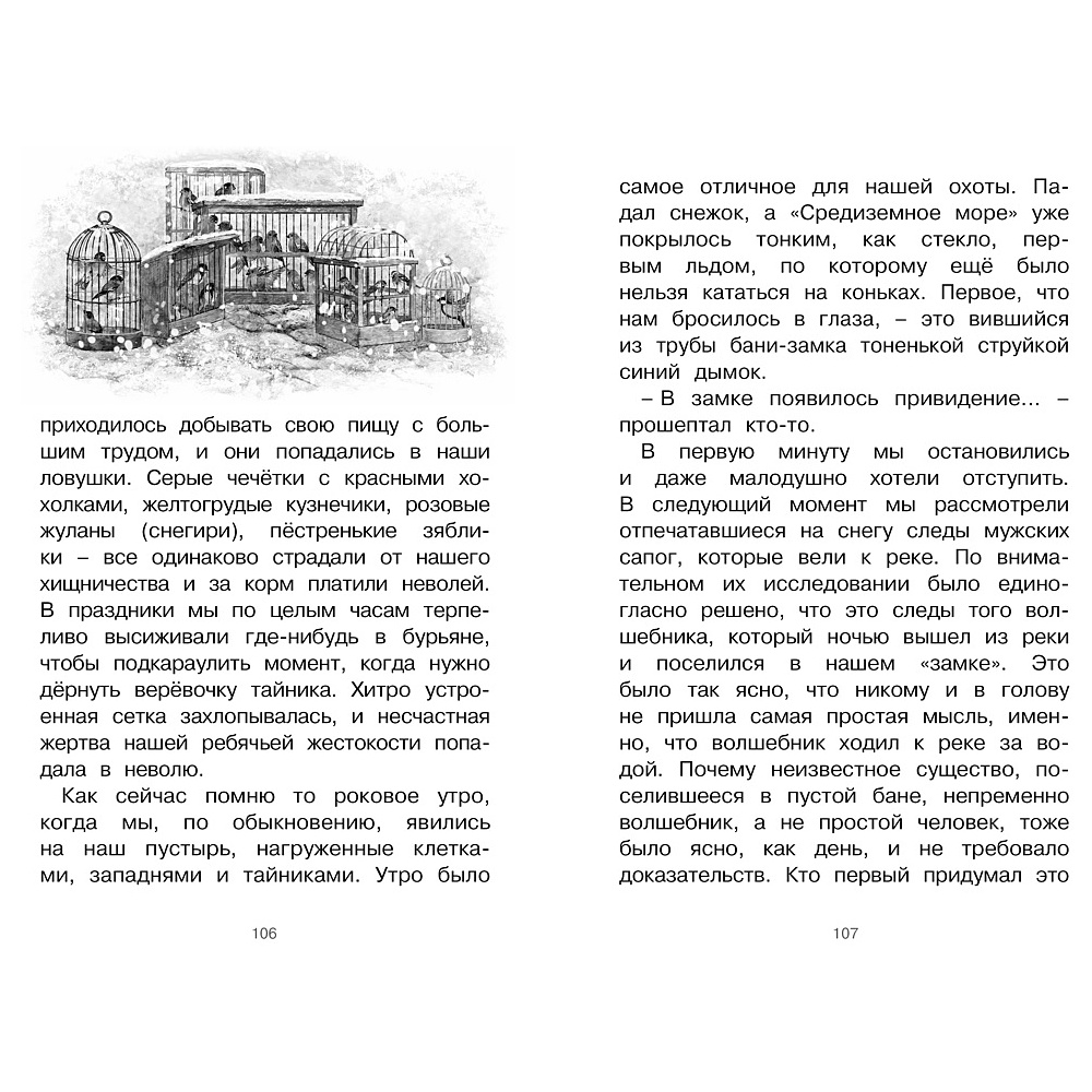 Книга "ЧЛУ. Серая Шейка", Дмитрий Мамин-Сибиряк - 5