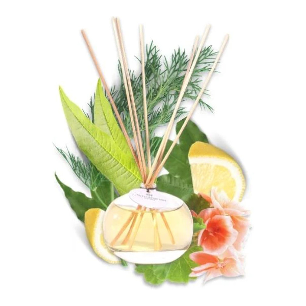 Диффузор ароматический PLANTES&PARFUMS "Fresh Verbena", 100 мл  - 2