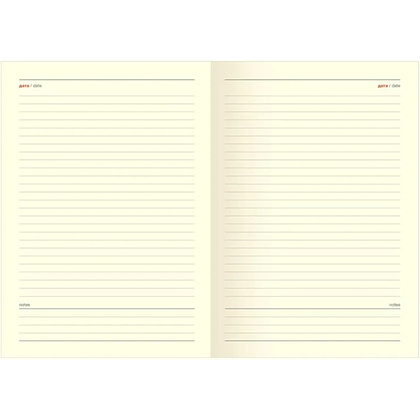 Ежедневник недатированный InFolio "365days", А5, 320 страниц, голубой - 3