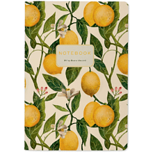 Тетрадь  "Flora. Paradise. Lemons", A5, 40 листов, линейка, белый, желтый