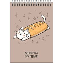 Блокнот "Мурчаши.1", A6, 60 листов, клетка, коричневый