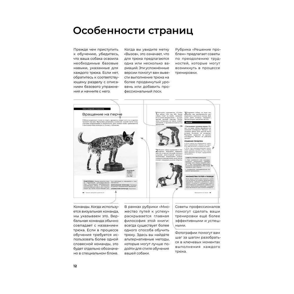 Книга "Собака, которая умеет всё. Пошаговое руководство по 118 удивительным трюкам", Ларри Кей, Крис Перонди - 9