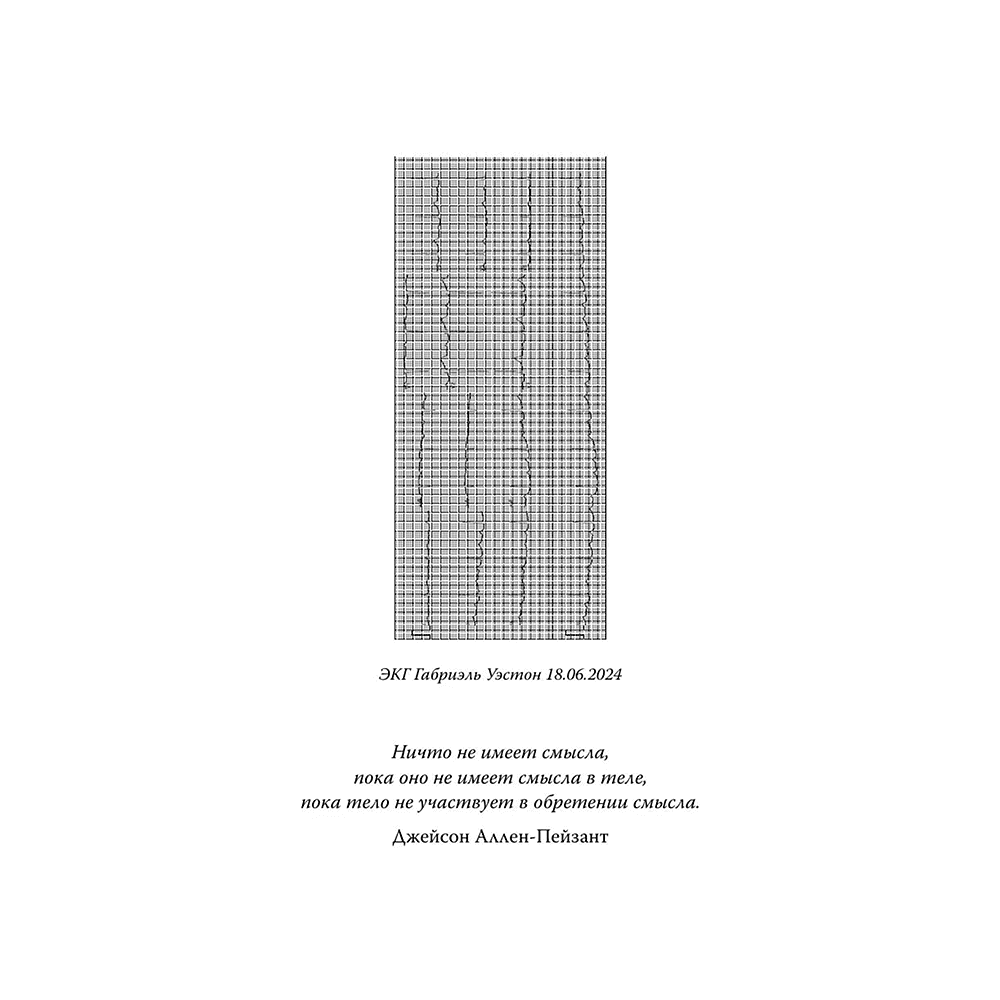 Книга "Мой ОРГАНайзер. Разберись, что у тебя внутри", Габриэль Уэстон - 5