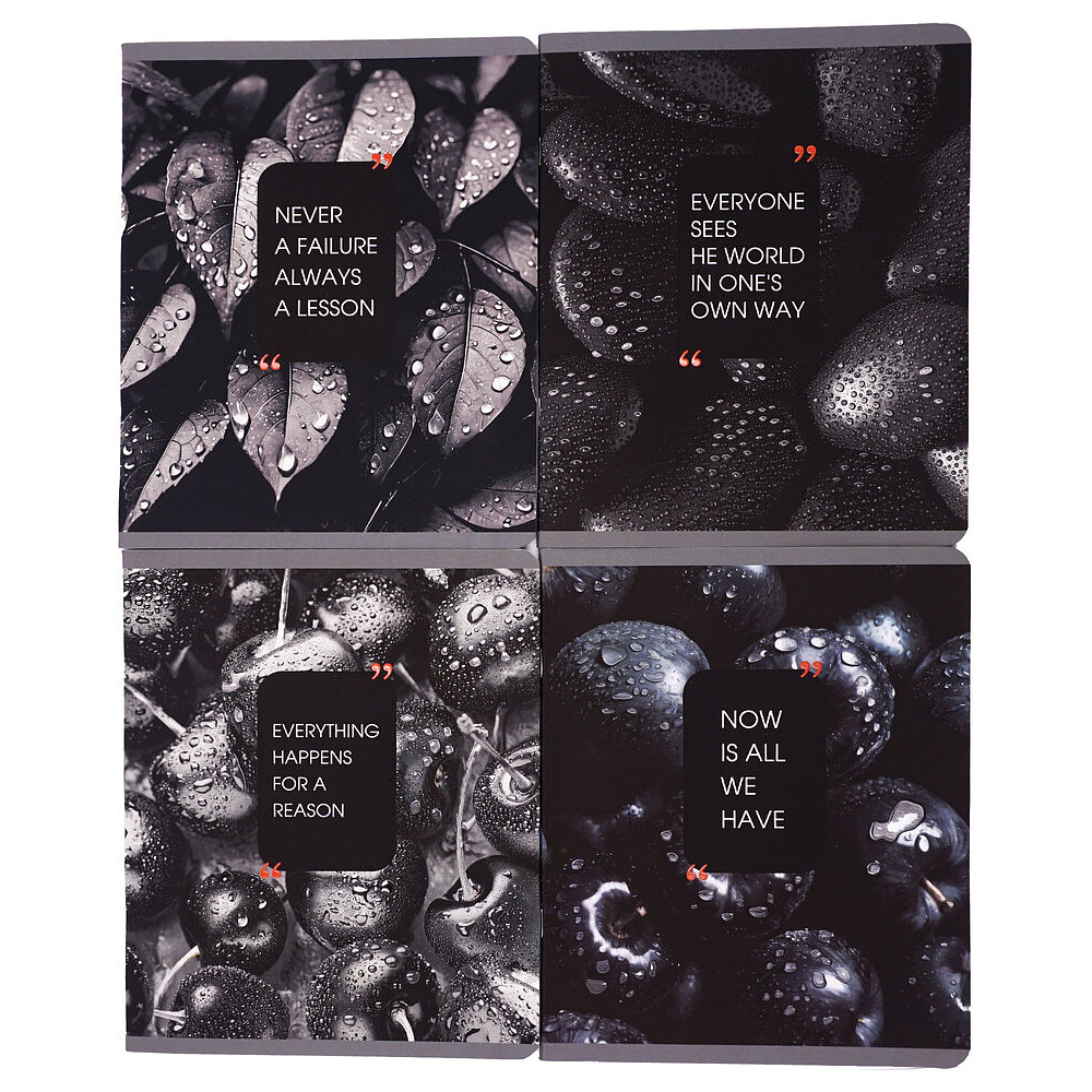 Тетрадь А5 "Natural Black" 48 листов, в клетку, ассорти - 2