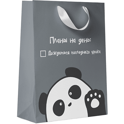 Пакет бумажный подарочный "Утки/Панды", 25.5х31.5х11 см, ассорти - 2