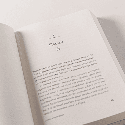 Книга "Спасая Винсента", Джоан Фернандес - 7