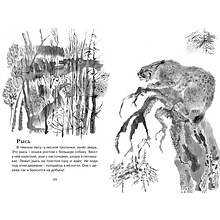 Книга "ЧЛУ. Друзья. Рассказы", Евгений Чарушин