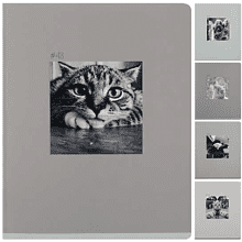 Тетрадь "Cat ART", А5, 48 листов, клетка, ассорти