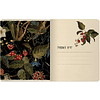 Тетрадь "Flora", A5, 48 листов, клетка, ассорти - 7