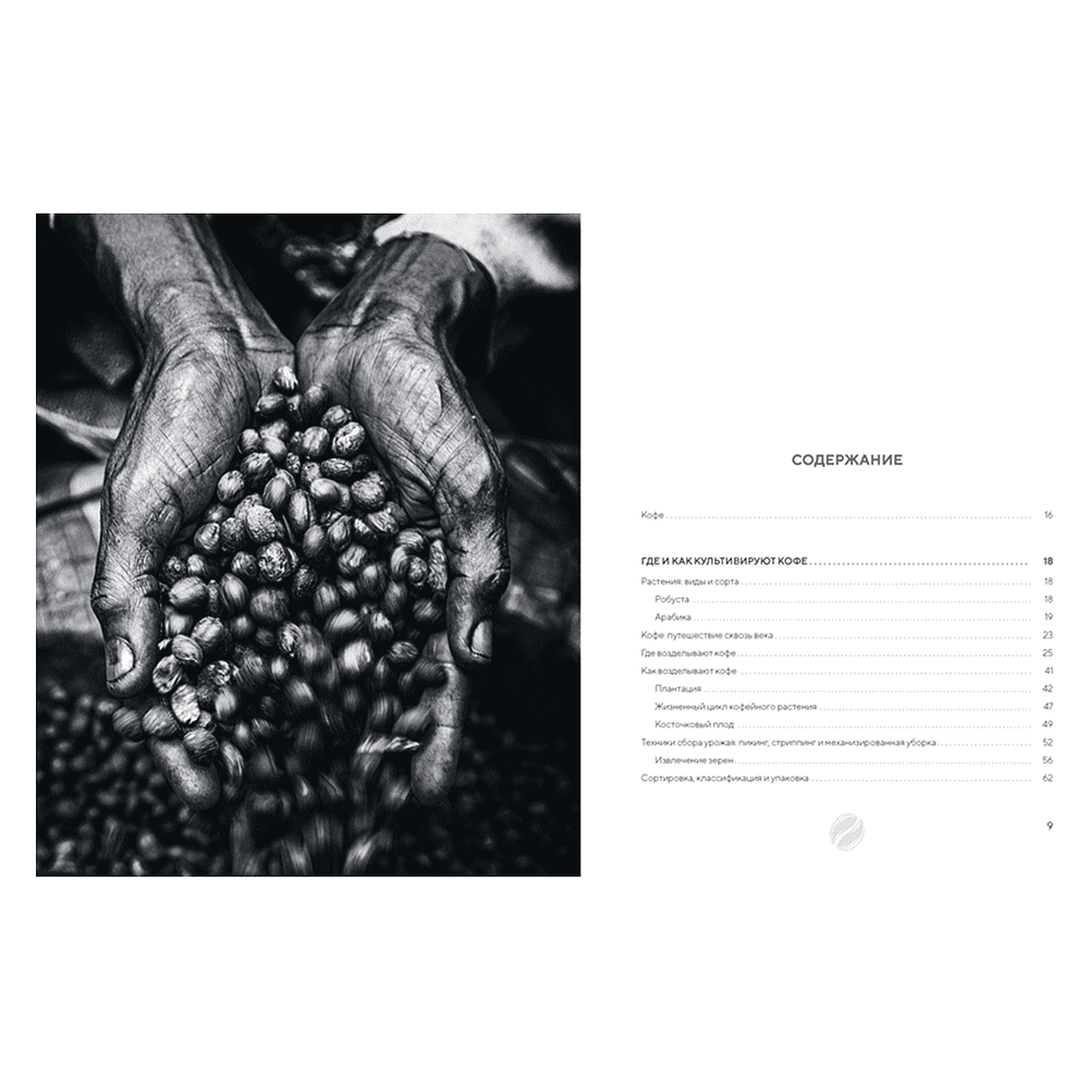 Книга "Философия кофе. От зерна до идеального напитка", Луиджи Оделло, Джованни Руджиери, Фабио Петрони - 2