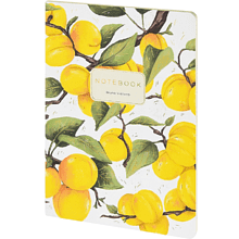 Тетрадь "Flora. Paradise. Абрикосы", A5, 40 листов, клетка, белый, желтый