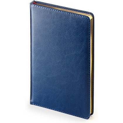 Ежедневник недатированный "Sidney Nebraska", A4, 272 страницы, синий