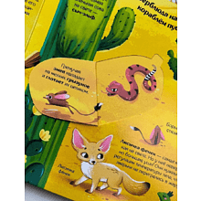 Книга "Книжка с окошками. Мир животных"
