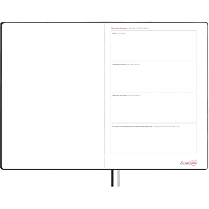 Еженедельник датированный "Тиволи Делавэ черный", А4, 160 страниц, черный, 2026 - 6