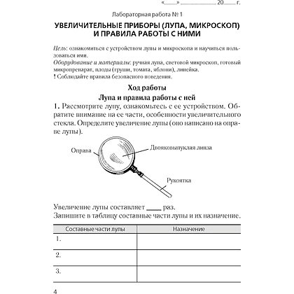 Биология. 6 класс. Тетрадь для лабораторных и практических работ, Лисов Н.Д., Борщевская Е.В. - 2