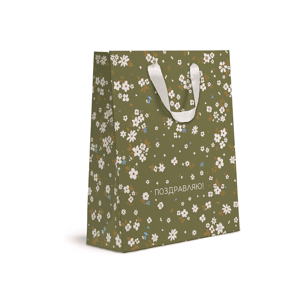 Пакет бумажный подарочный "Cherry Lady", 31х41х10 см, ассорти - 4