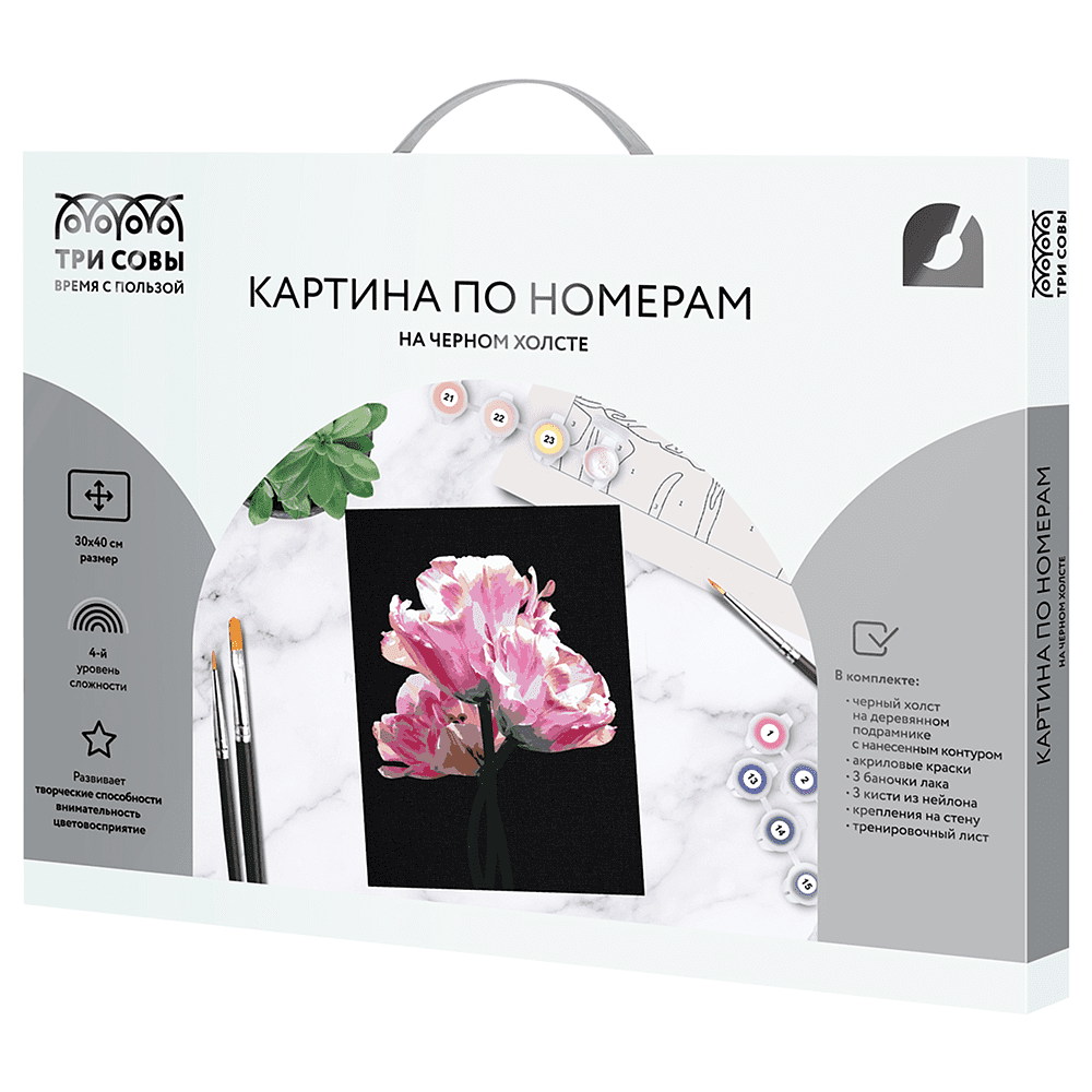 Картина по номерам "Розовые цветы"