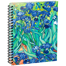 Скетчбук "Ван Гог. Ирисы", А5, 100 листов, разноцветный
