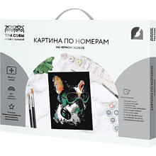 Картина по номерам "Меломан"