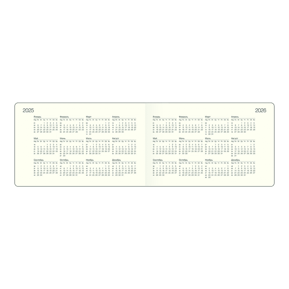 Еженедельник датированный "Pastel" на 2025 год,  А6, на резинке, бежевый  - 2