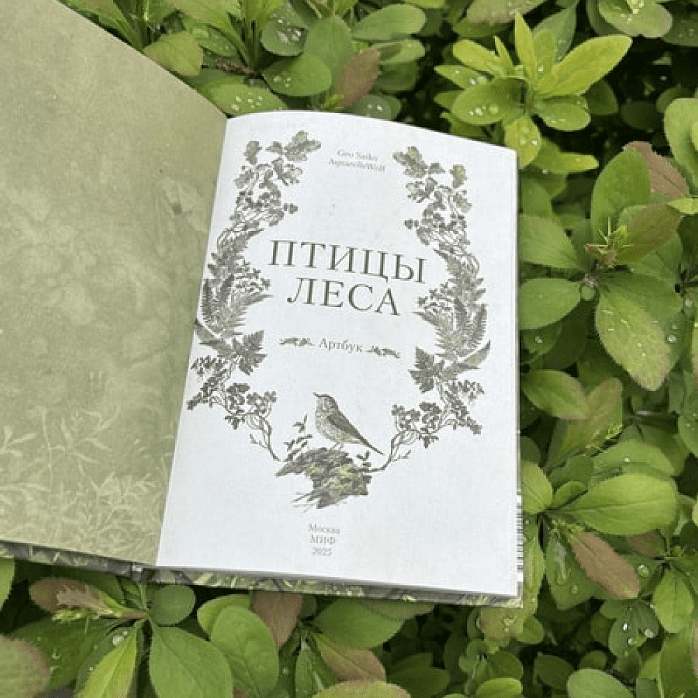 Книга "Птицы леса. Артбук", Geo Saiko, AquarelleWolf - 4