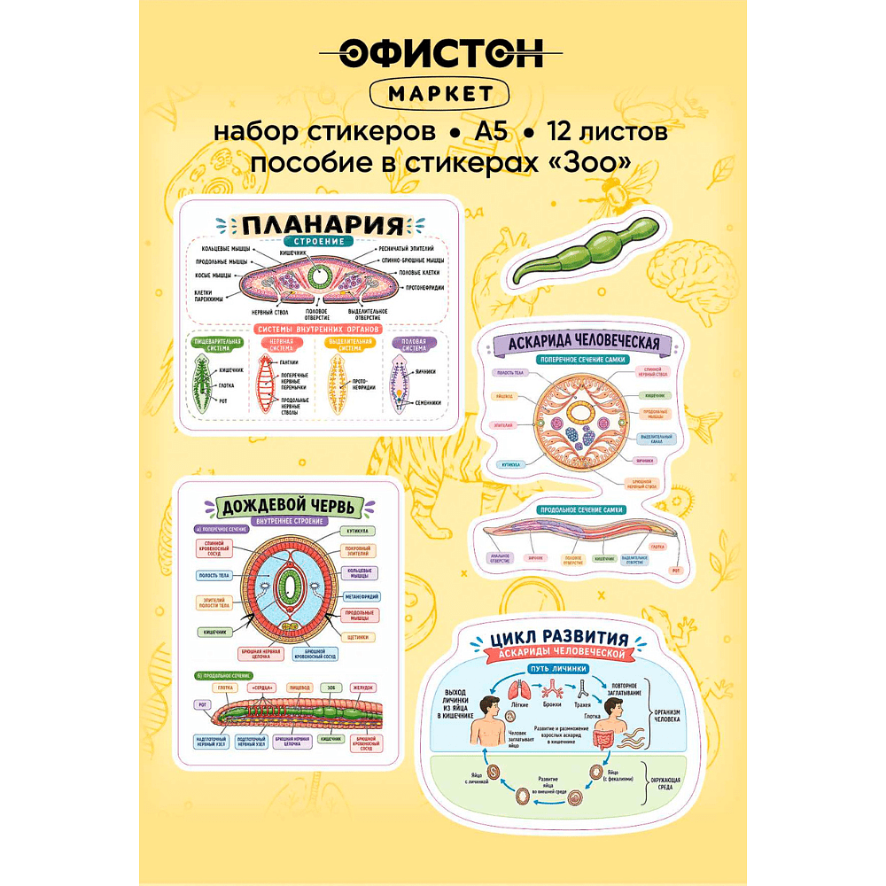Стикерпак NALEPKING "Зоо", А6, 12 листов, 62 шт