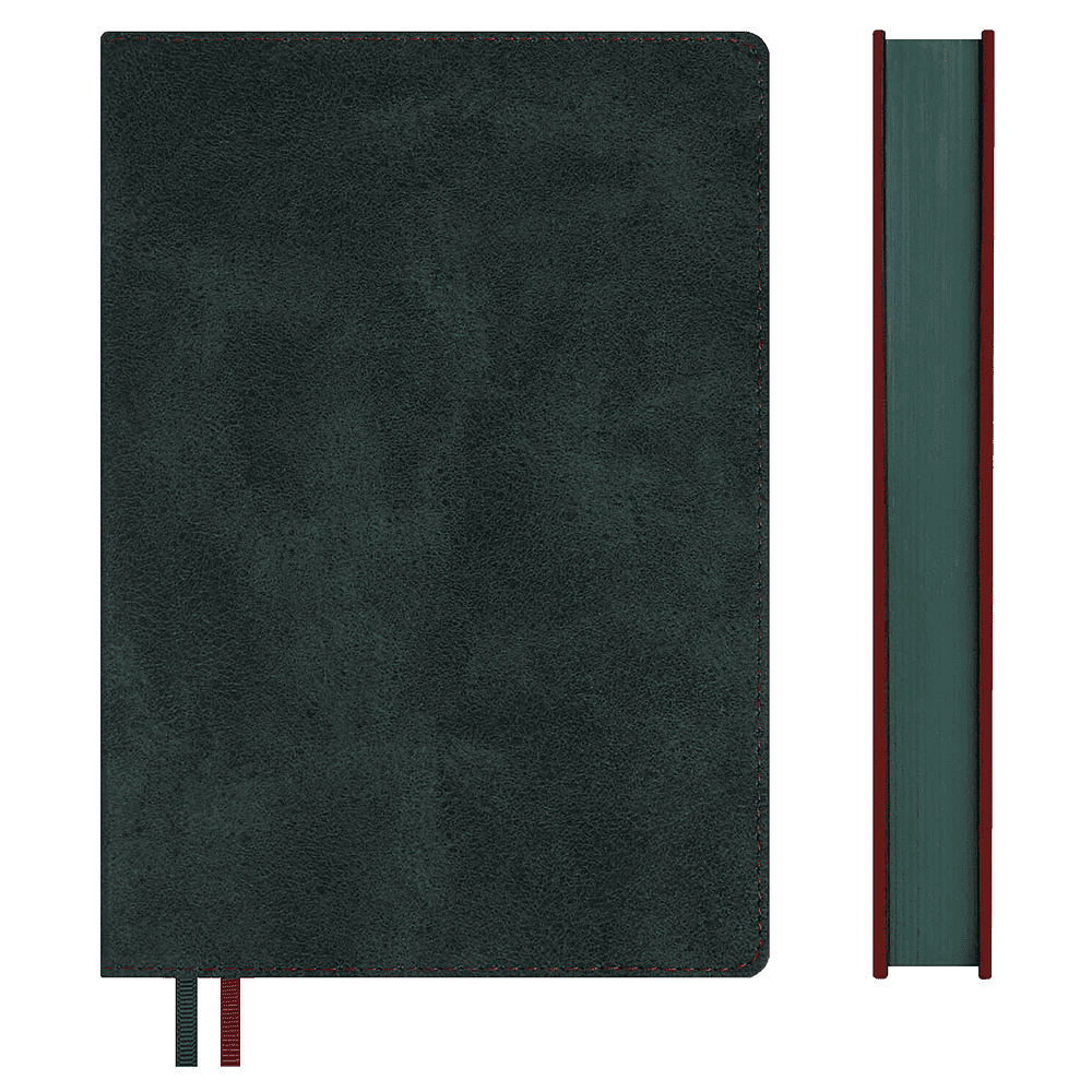 Ежедневник полудатированный "Тиволи Делавэ", А5, 384 страницы, зелёный - 3