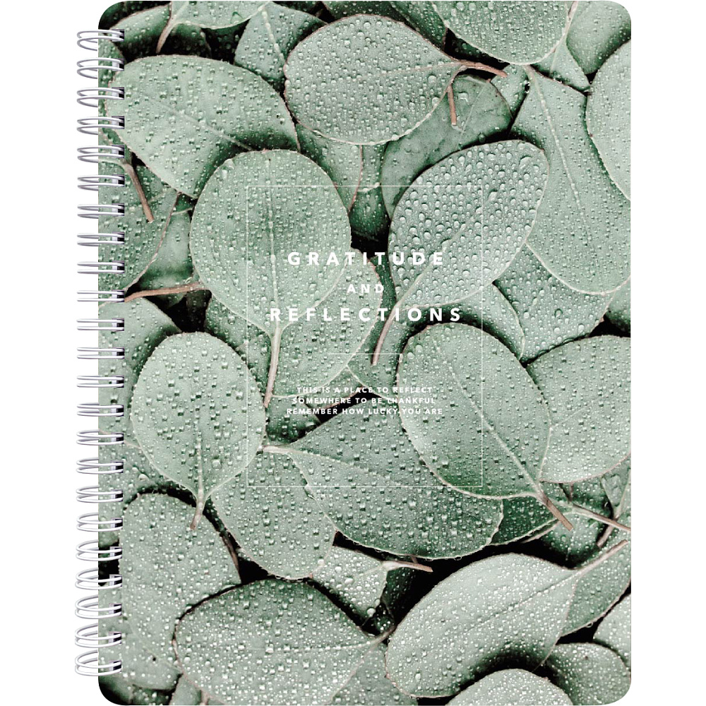 Тетрадь "Botanica эвкалипт популус", А5, 120 листов, клетка, зеленый