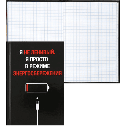 Книга записная "Энергосбережение", А6, 105x150 мм, 64 листа, в клетку, черный